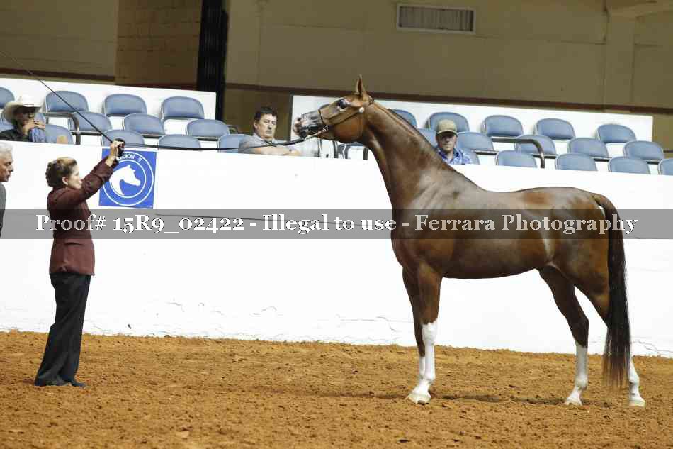 Proof 15R9_02422