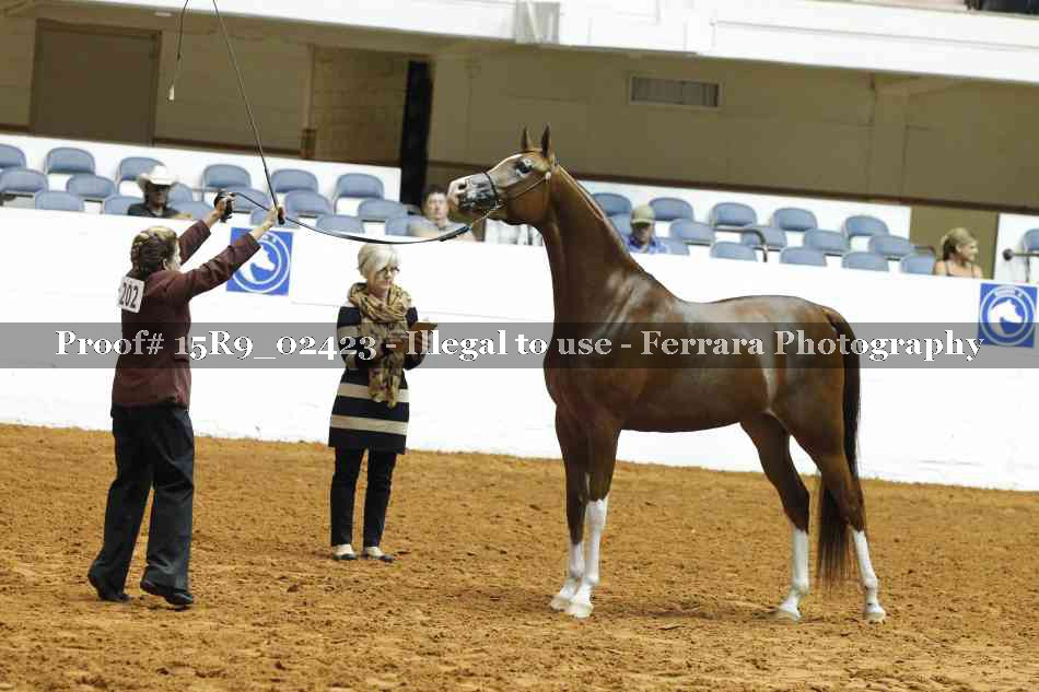 Proof 15R9_02423