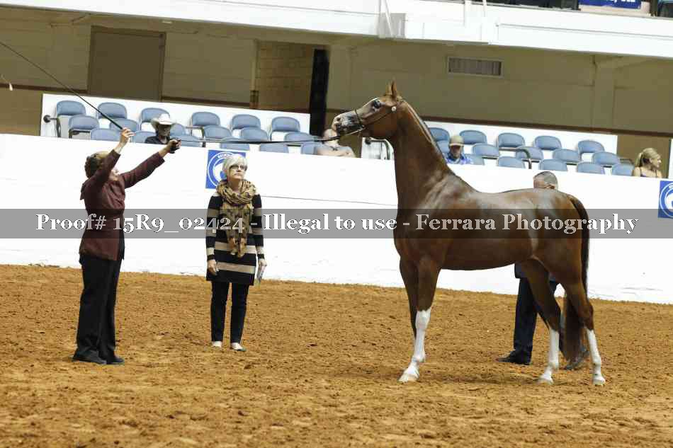 Proof 15R9_02424