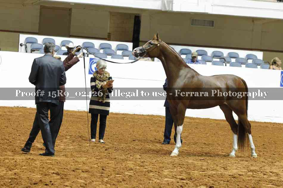 Proof 15R9_02426