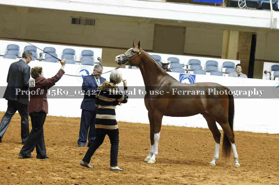 Proof 15R9_02427