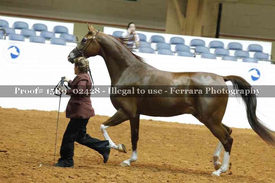 Proof 15R9_02428