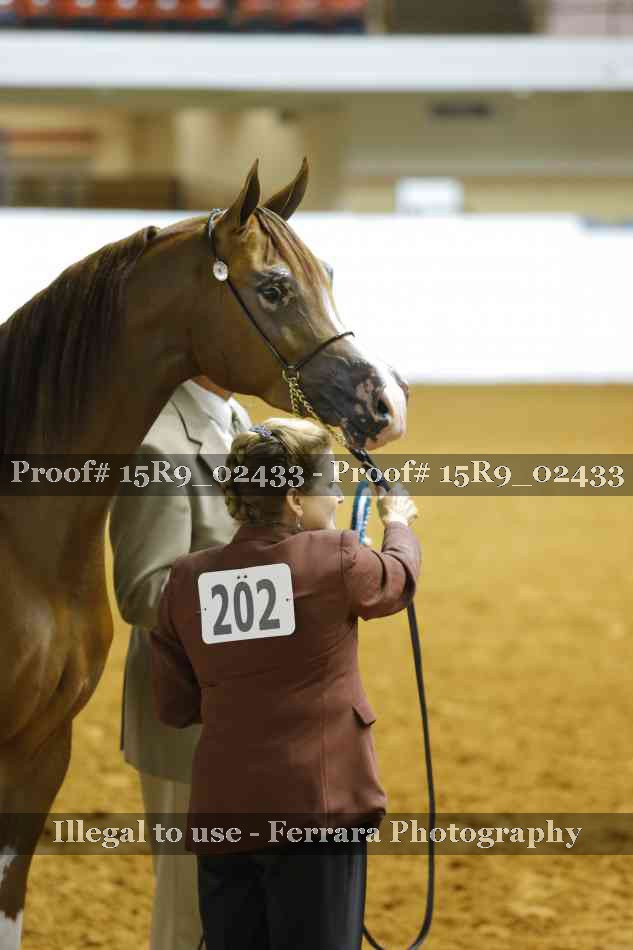 Proof 15R9_02433