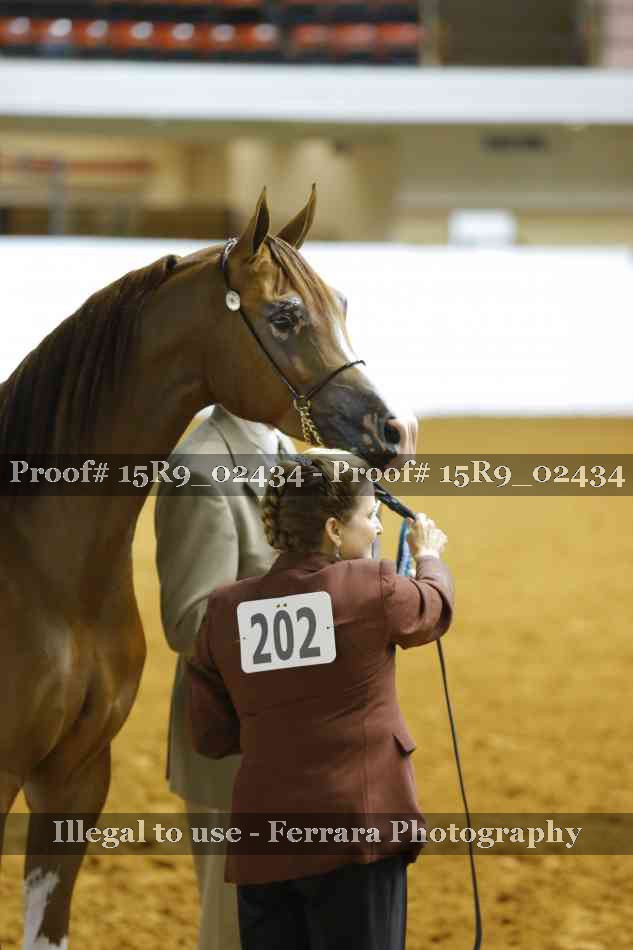 Proof 15R9_02434