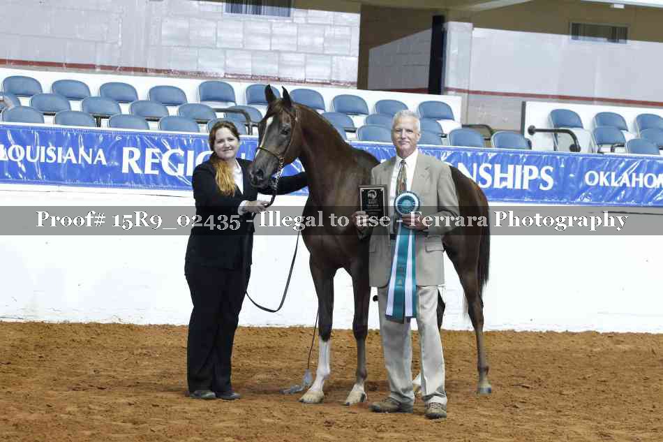 Proof 15R9_02435