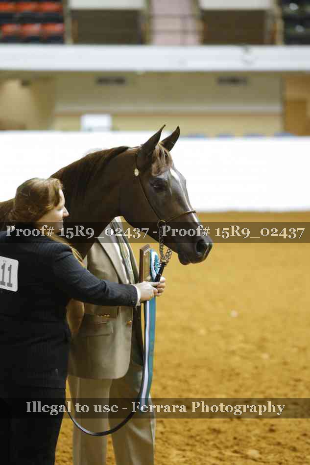 Proof 15R9_02437