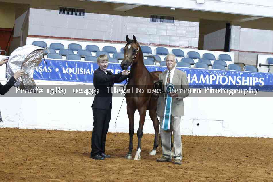 Proof 15R9_02439