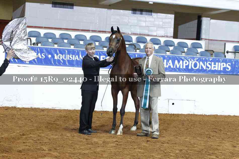 Proof 15R9_02440