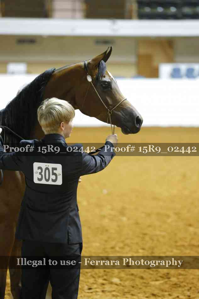 Proof 15R9_02442