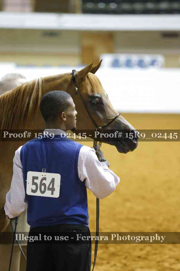 Proof 15R9_02445
