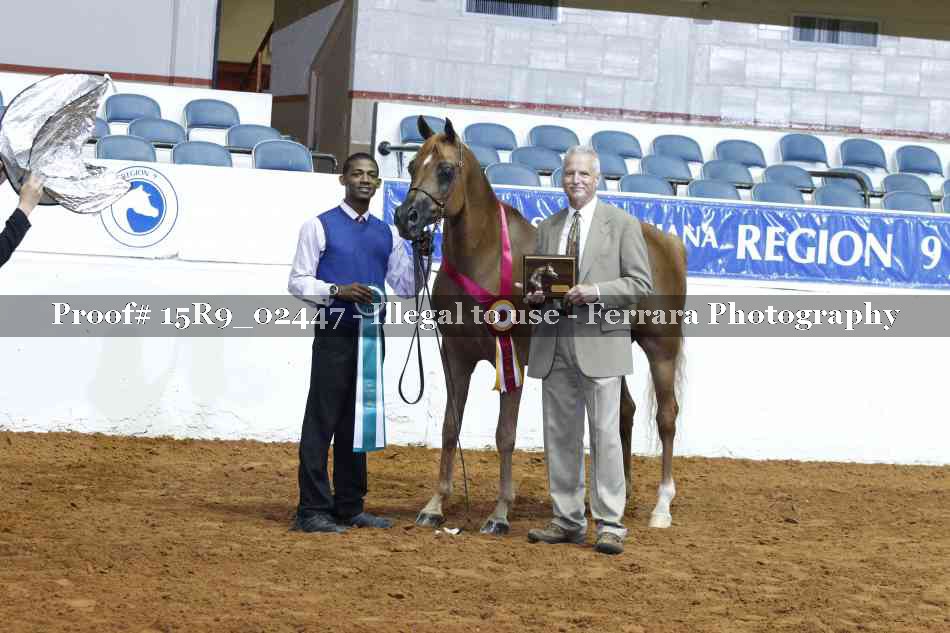 Proof 15R9_02447