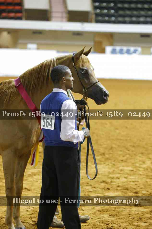 Proof 15R9_02449