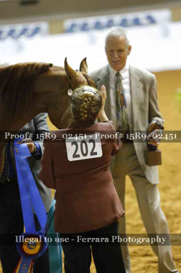 Proof 15R9_02451