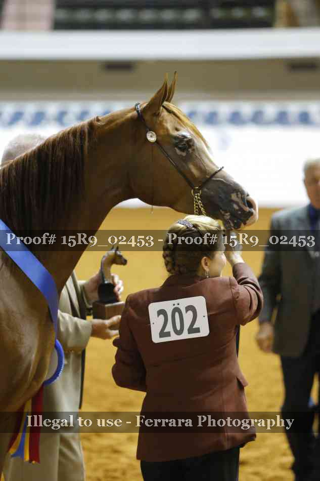 Proof 15R9_02453