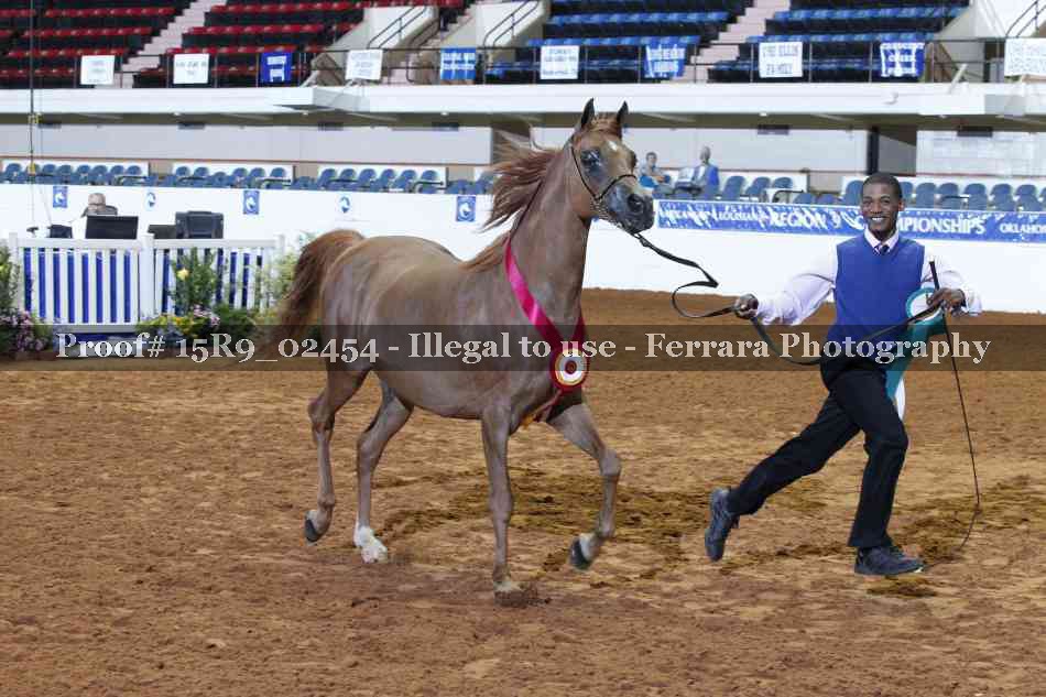 Proof 15R9_02454