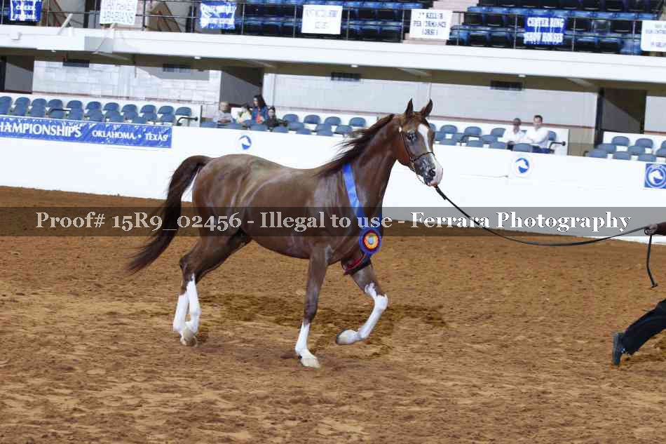 Proof 15R9_02456