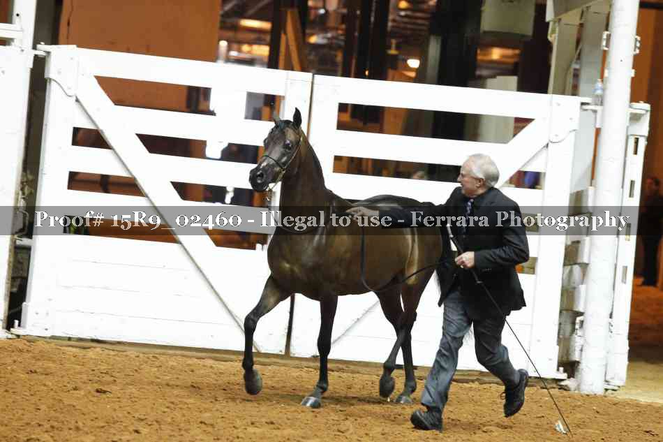 Proof 15R9_02460