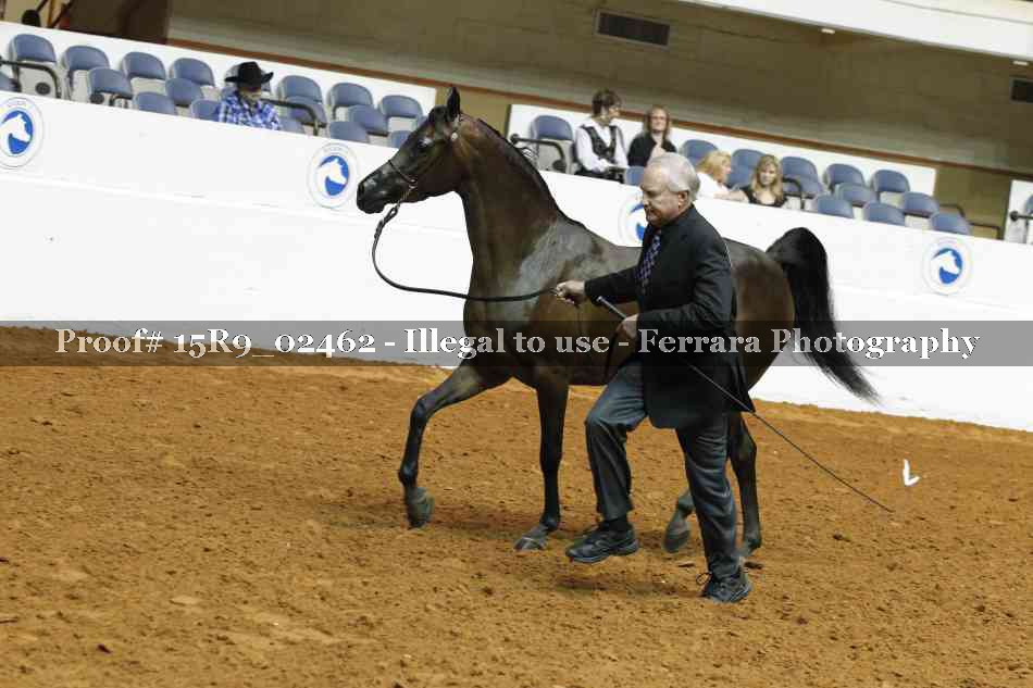 Proof 15R9_02462