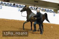 15R9_02462 proof