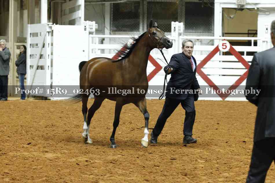 Proof 15R9_02463