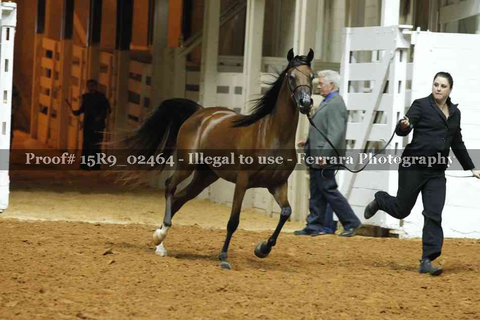 Proof 15R9_02464