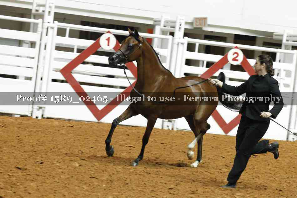 Proof 15R9_02465