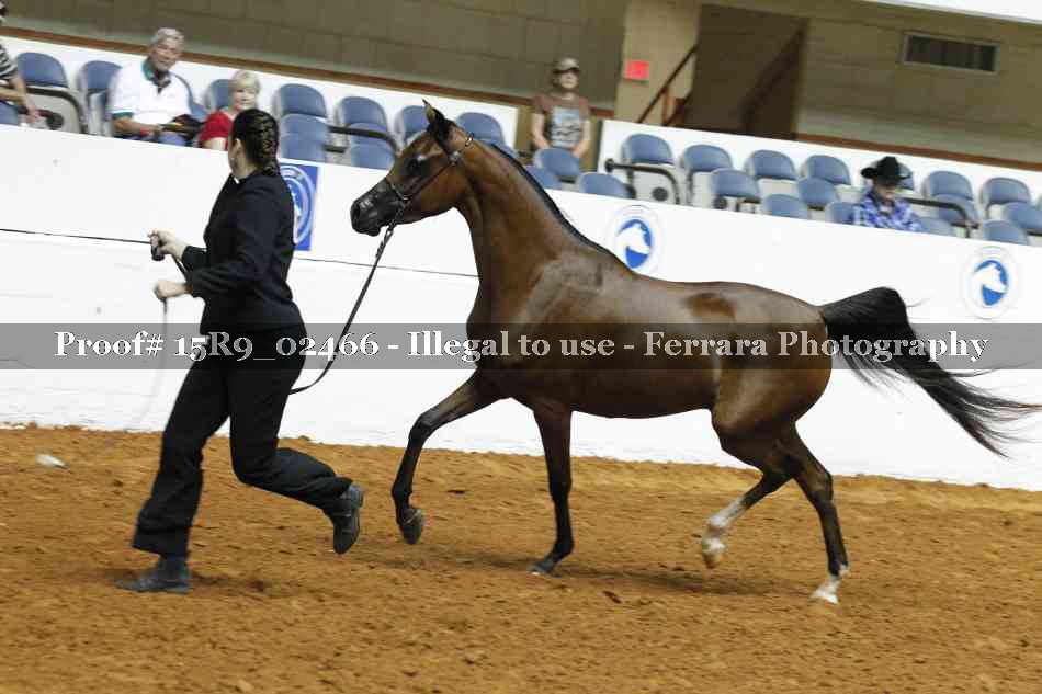 Proof 15R9_02466
