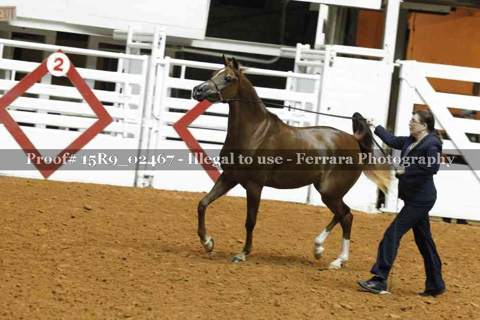 Proof 15R9_02467