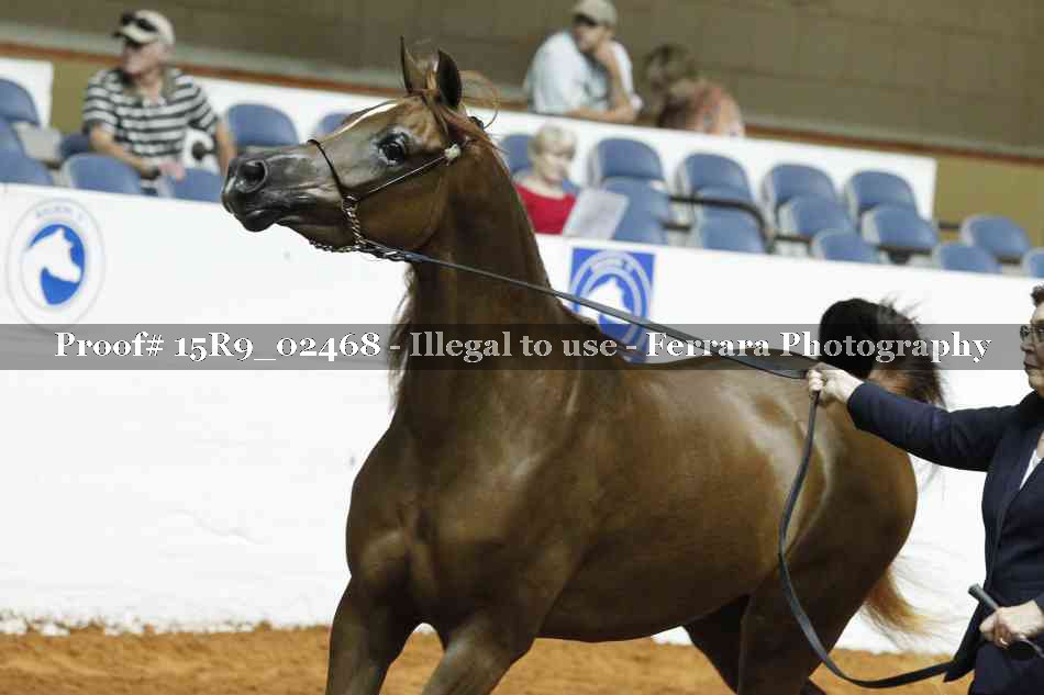 Proof 15R9_02468
