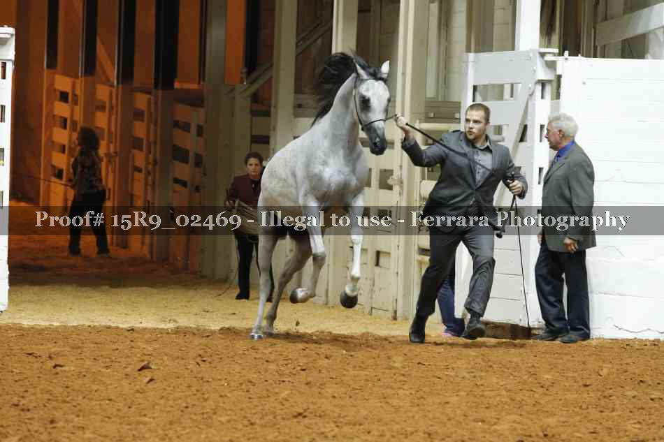 Proof 15R9_02469