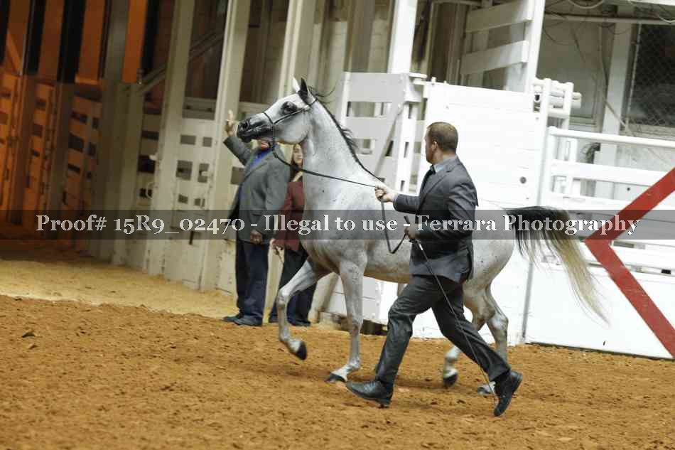 Proof 15R9_02470
