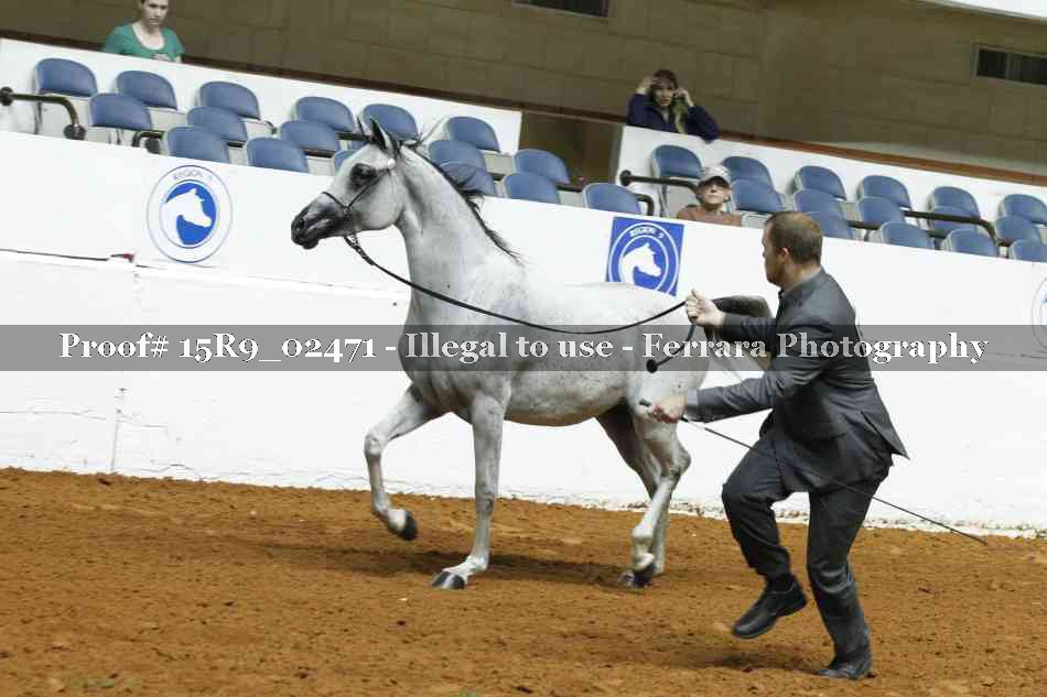 Proof 15R9_02471
