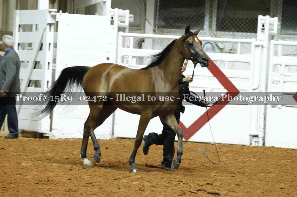 Proof 15R9_02472