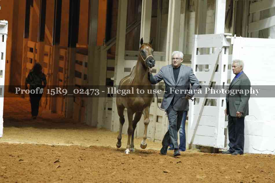Proof 15R9_02473