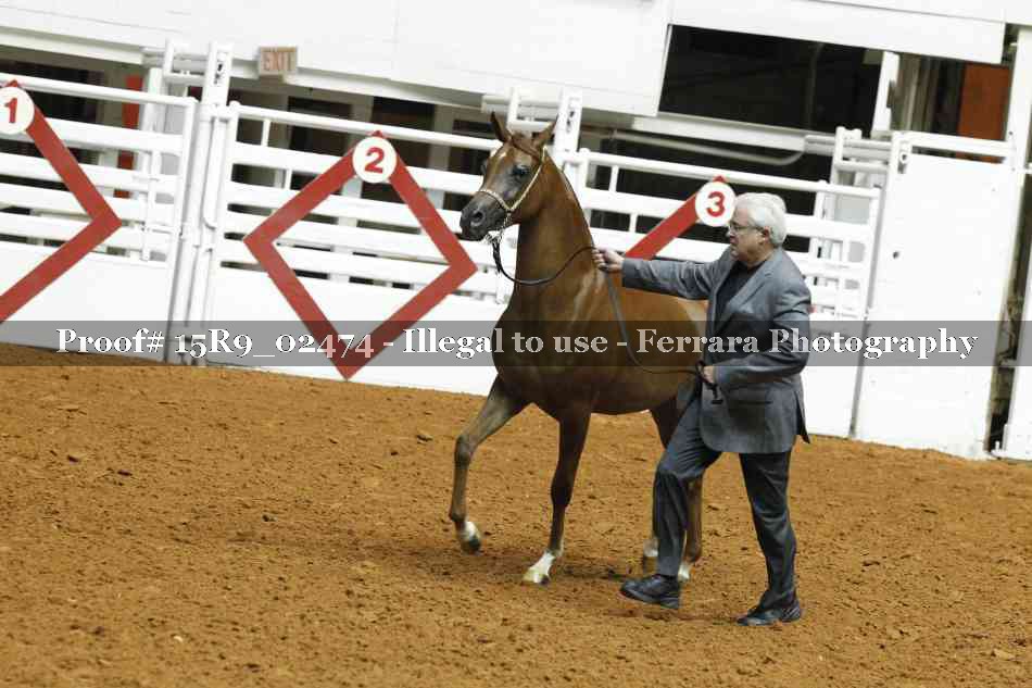 Proof 15R9_02474