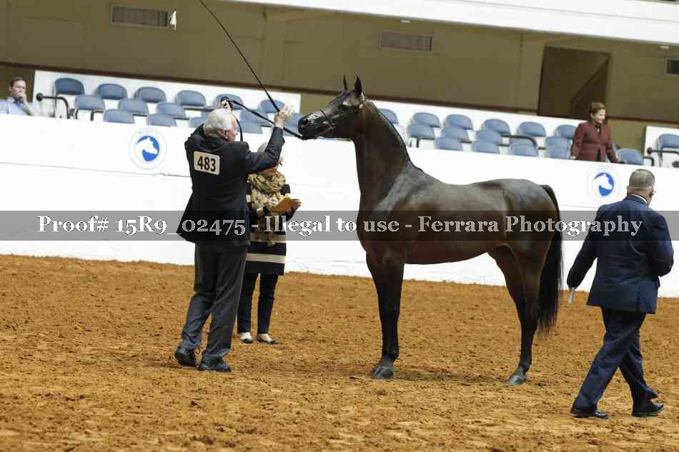 Proof 15R9_02475