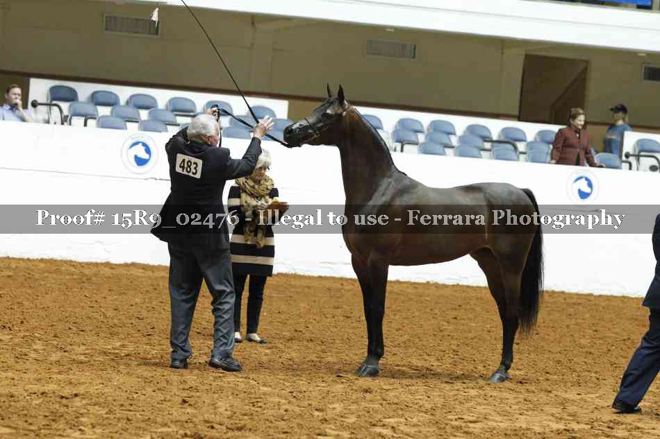Proof 15R9_02476