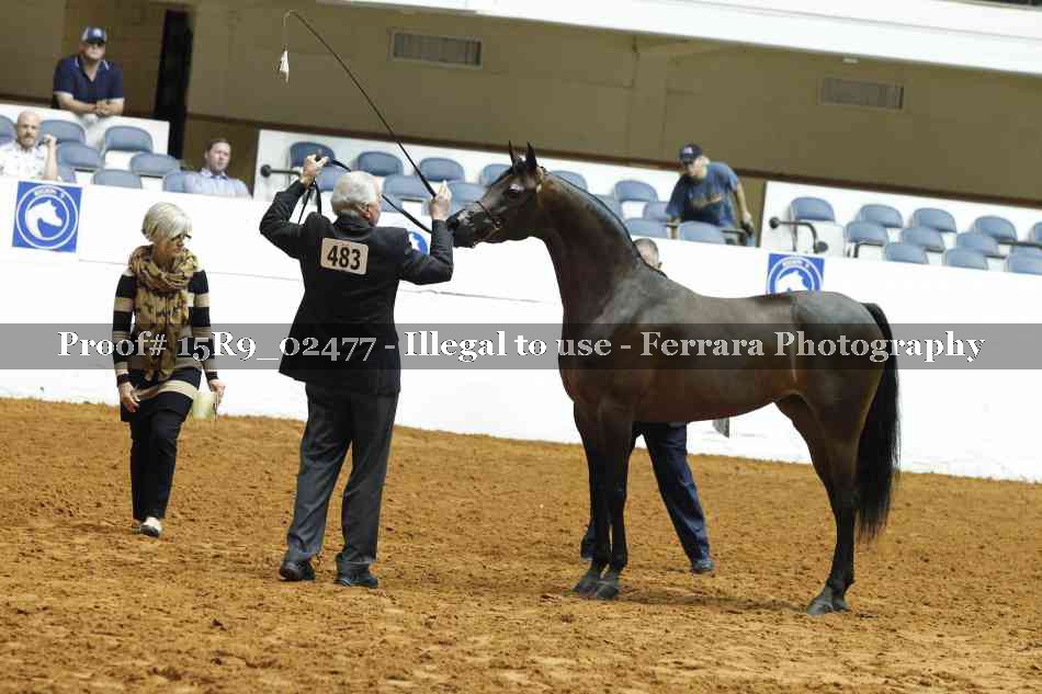 Proof 15R9_02477