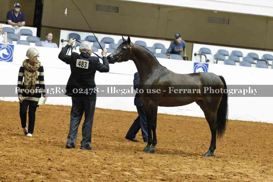 Proof 15R9_02478