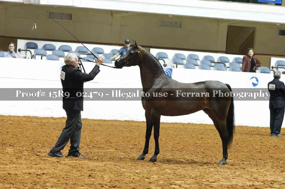 Proof 15R9_02479