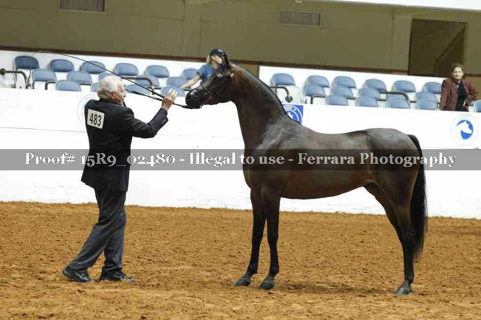 Proof 15R9_02480