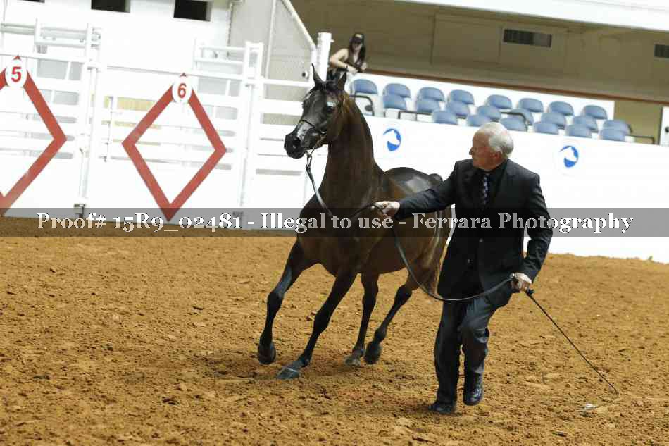 Proof 15R9_02481