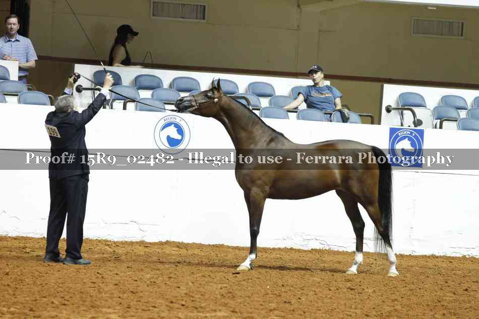 Proof 15R9_02482