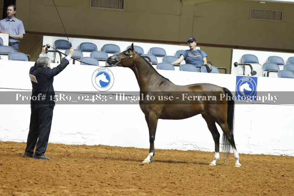 Proof 15R9_02483