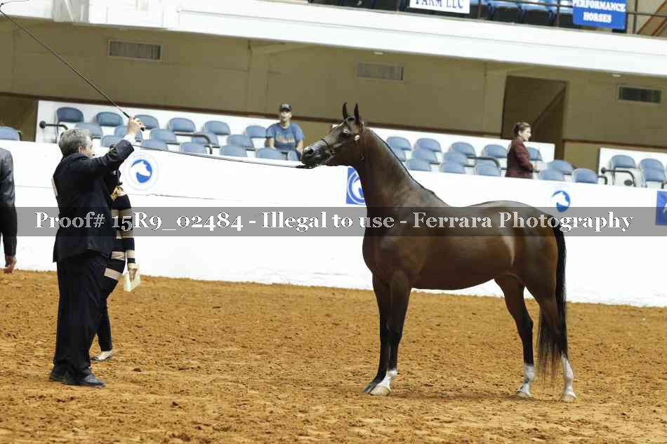 Proof 15R9_02484