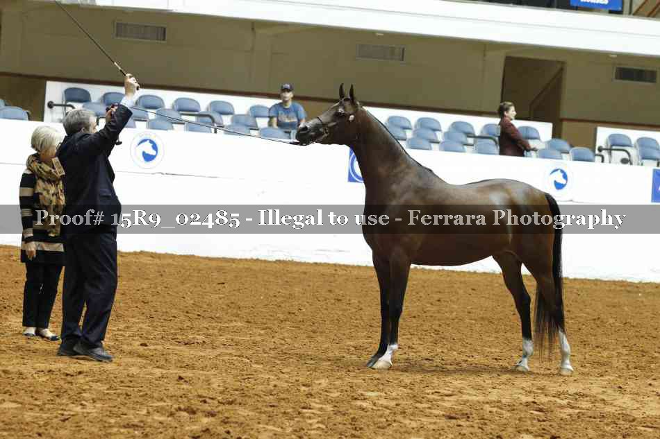 Proof 15R9_02485