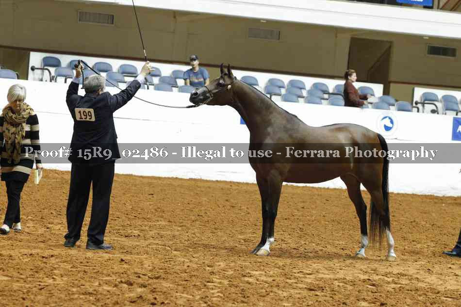 Proof 15R9_02486