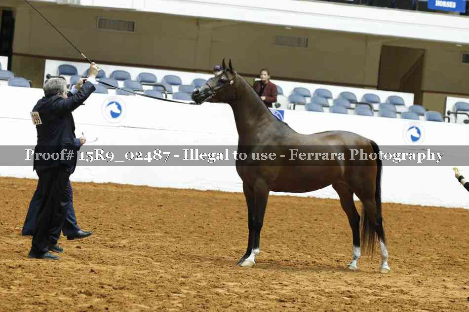 Proof 15R9_02487