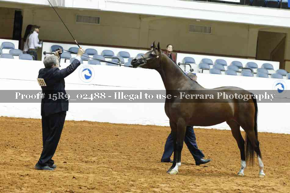 Proof 15R9_02488
