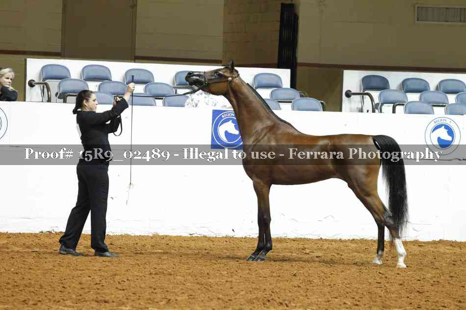 Proof 15R9_02489